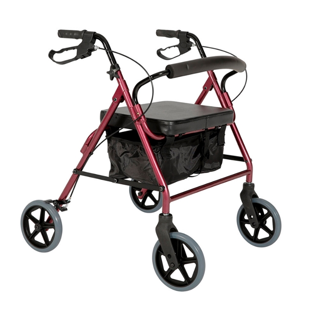 Bariatric Mobility/Walking Aids