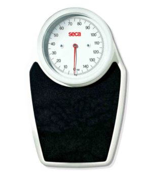 Seca Mechanical Flat Scales