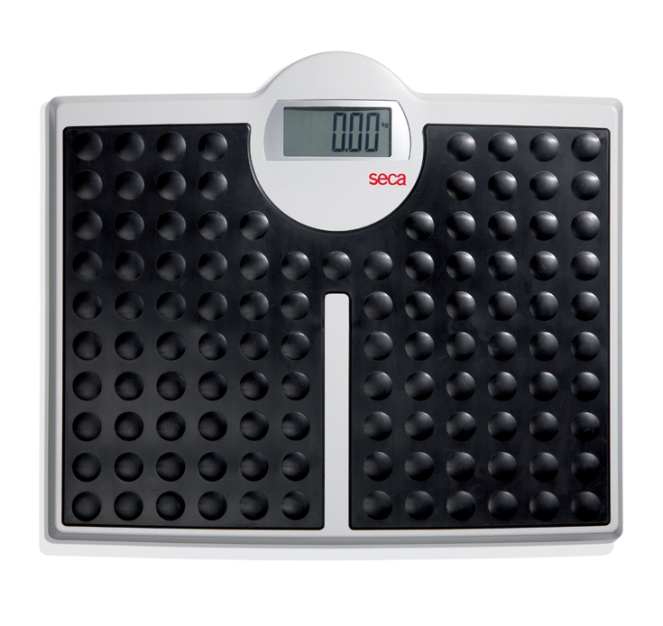 Seca Electronic Bariatric Flat Scales