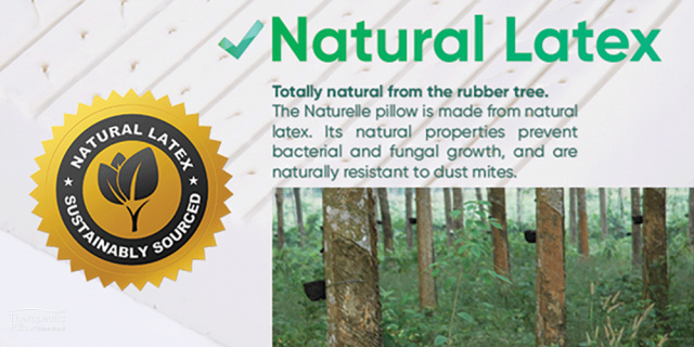 Naturelle Latex Pillow - Gently Contoured - Image 5