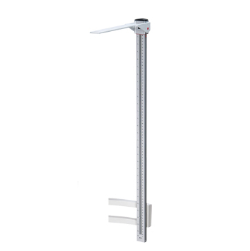 Seca Column Scales