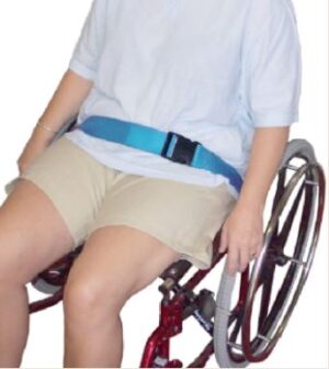 Lap Belt / Shoulder Sash Belt - Image 2
