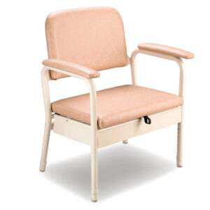 Deluxe Bedside Commode