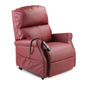 Monarch Chair - Image 4
