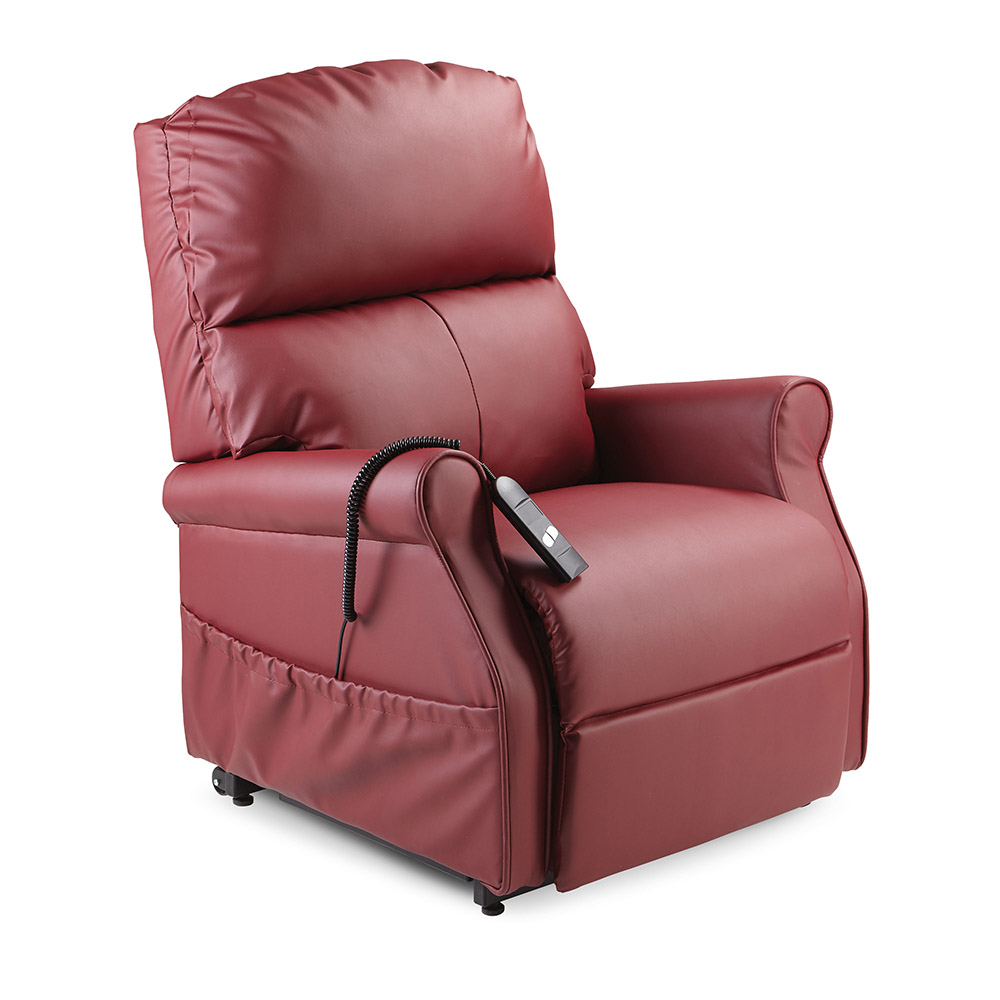 Monarch Chair - Image 4