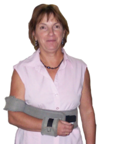 Alternative view of Upper Arm Adductor