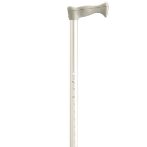 Walking Sticks