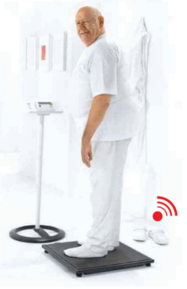 Seca 634 Bariatric Platform Scale Wireless