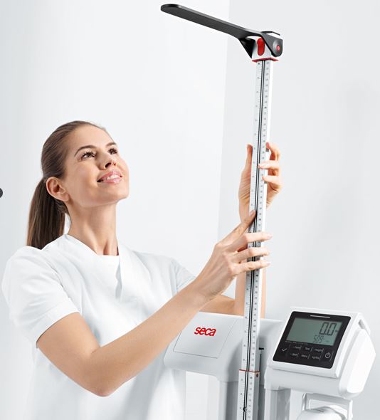 Digital Column Scale - Image 3