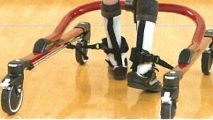 Pacer Gait Trainer - Image 6