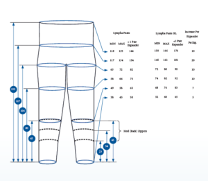 Bi-Lateral Lympha Pants - 24 Cell - Image 2