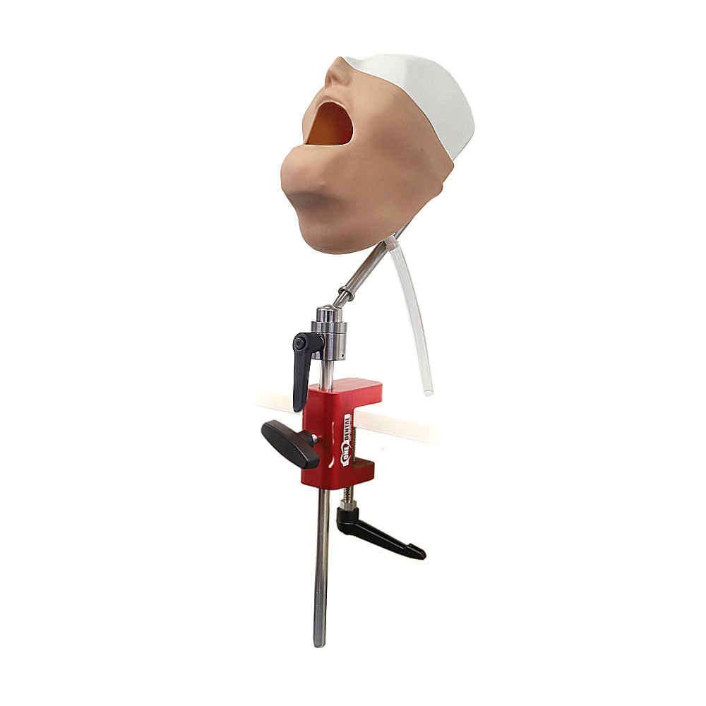 Aged Care Dental Manikin Kit - Image 2